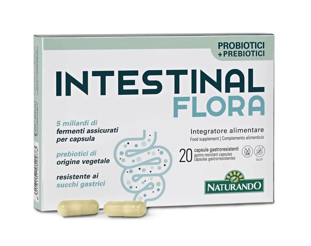Medicamentos para la flora intestinal que mejoran tu salud digestiva
