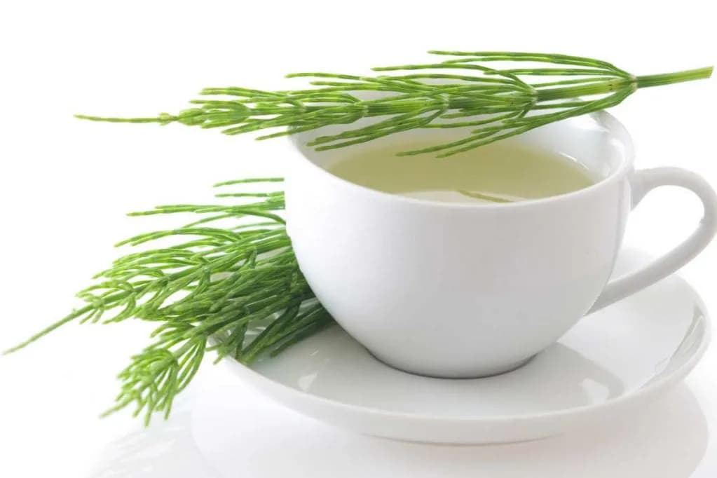 Cómo limpiar el organismo de medicamentos de forma natural y efectiva